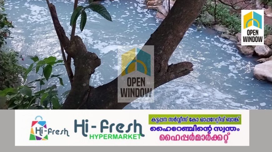കട്ടപ്പന പാറക്കടവ് ശാന്തിപ്പടി തോട്ടിൽ വെള്ളം പതഞ്ഞെഴുകിയത് ആശങ്ക ഉയർത്തുന്നു