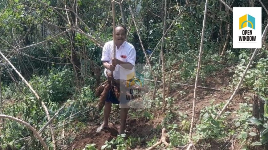 രാഷ്ട്രീയ പ്രവർത്തനത്തിൻ്റെ തിരക്കിനിടയിലും കൃഷിയെ കൈവിടാതെ ഒരു പൊതു പ്രവർത്തകൻ