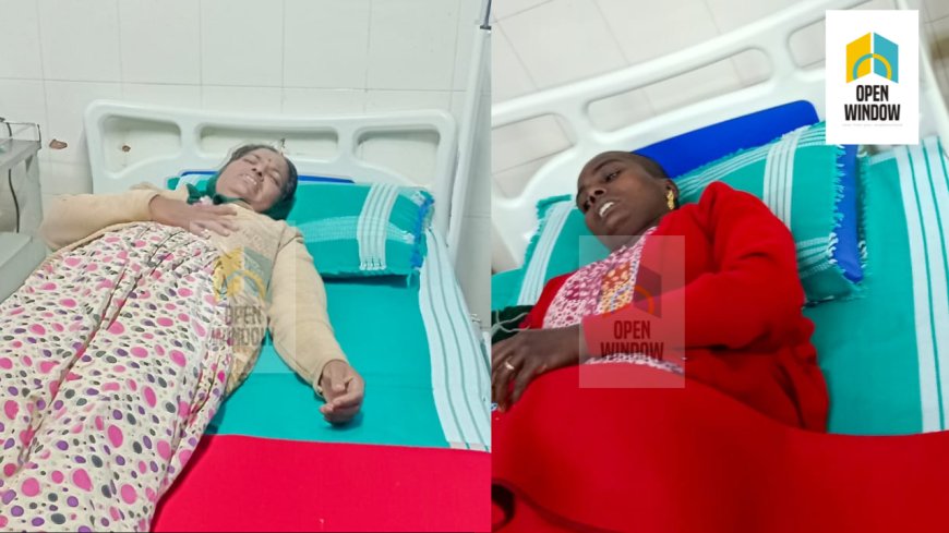 മൂന്നാറിൽ കാട്ടാനയെ കണ്ട് ഭയന്ന് ഓടുന്നതിനിടയിൽ വീണ് തൊഴിലാളി സ്ത്രീകൾക്ക് പരിക്കേറ്റു