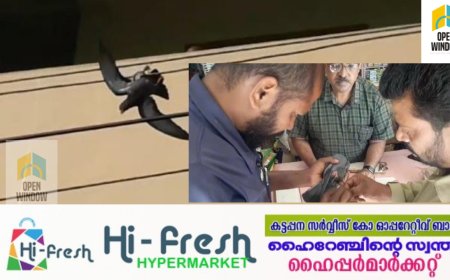 വൈദ്യുതി കമ്പിയിൽ കുടുങ്ങിയ പ്രാവിനെ രക്ഷിച്ച് മാതൃകയായി തൊഴിലാളികൾ