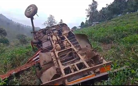 ഇടുക്കി വണ്ടിപ്പെരിയാറിൽ  തൊഴിലാളികളുമായി എത്തിയ ലോറി മറിഞ്ഞ് അപകടം;  അസം സ്വദേശി മരിച്ചു , 8 പേർക്ക് പരിക്ക്