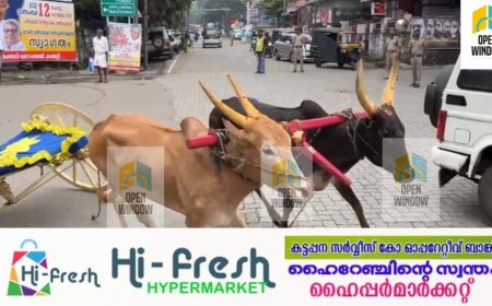 കുമിളിയിൽ കാളയോട്ട മത്സരത്തിൽ അപകടം ; മത്സരം നടന്നത് നവകേരള സദസിന്റെ പ്രചരണാർത്ഥം