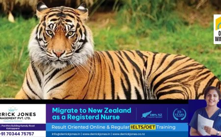 വയനാട് വാകേരി കൂടല്ലൂരിലെ നരഭോജി കടുവയെ വെടിവെച്ചു കൊല്ലാൻ ഉത്തരവ്