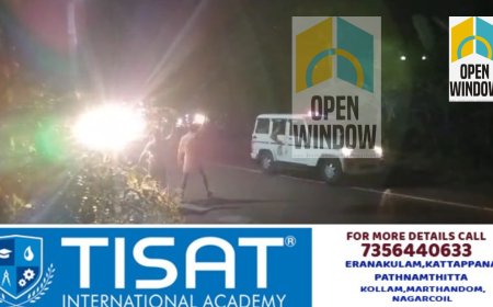 മുഖ്യമന്ത്രിക്ക് നേരെ യൂത്ത് കോൺഗ്രസിന്റെ കരിങ്കൊടി