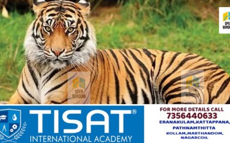 വയനാട്ടിൽ യുവാവിനെ കൊന്ന കടുവയെ പിടിക്കാനുള്ള ഉത്തരവ് തടയണമെന്നാവശ്യപ്പെട്ട് നൽകിയ ഹർജി ഹൈക്കോടതി തള്ളി.ഹർജിക്കാരന്  25,000 രൂപ പിഴ ചുമത്തി