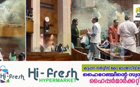 പാർലമെന്‍റിൽ സുരക്ഷാവീഴ്ച ; ലോക്സഭയിൽ കളർ സ്പ്രേ പ്രയോഗം, നാലു പേർ കസ്റ്റഡിയിൽ