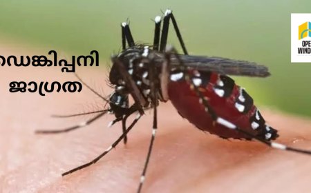 ഡെങ്കിപ്പനി; ജാഗ്രത പാലിക്കണമെന്ന് ആരോഗ്യവകുപ്പ് 