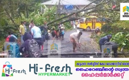 ആനവിലാസം - കുമളി റൂട്ടിൽ മുരിക്കടിക്ക് സമീപം വൈദ്യുതപോസ്റ്റും സൈഡിൽ നിന്ന മരവും റോഡിലേക്ക് വീണ് ഗതാഗതം തടസപ്പെട്ടു