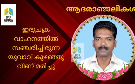 രാജാക്കാട് ഇരുചക്ര വാഹനത്തിൽ സഞ്ചരിച്ചിരുന്ന യുവാവ് കുഴഞ്ഞു വീണ് മരിച്ചു