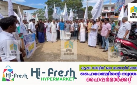 വ്യാപാരി വ്യവസായി ഏകോപന സമിതിയുടെ നേതൃത്വത്തിൽ രാജകുമാരിയിൽ പ്രതിഷേധ പ്രകടനവും ധർണ്ണയും നടത്തി