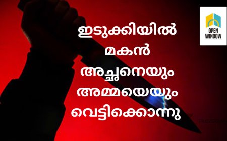 അമ്മയും മരണത്തിനു കീഴടങ്ങി ; കുടുംബ വഴക്കിനെ തുടർന്ന് മകൻ അച്ഛനെയും , അമ്മയേയും വെട്ടിക്കൊന്നു. തൊടുപുഴ മൂലമറ്റത്താണ് സംഭവം, മകൻ ഒളിവിൽ