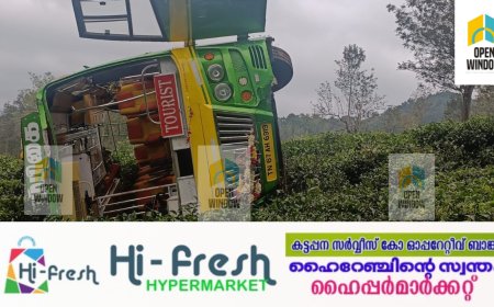 തമിഴ്നാട് മധുരയിൽ നിന്നും വഴിതെറ്റി വന്ന അയ്യപ്പഭക്തരുടെ വാഹനം മറിഞ്ഞ് അപകടം ;ചെങ്കര പുല്ലുമേട് റോഡിലാണ് അപകടം സംഭവിച്ചത്