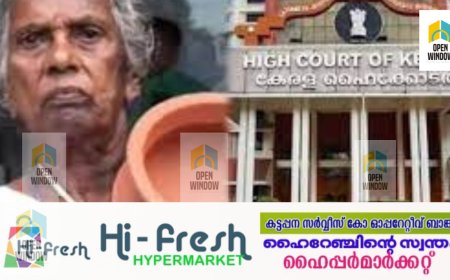 മറിയക്കുട്ടിക്ക് പെന്‍ഷന്‍ നല്‍കുന്ന കാര്യത്തില്‍ തീരുമാനം നാളെ അറിയിക്കണമെന്ന് സര്‍ക്കാരിനോട് ഹൈക്കോടതി