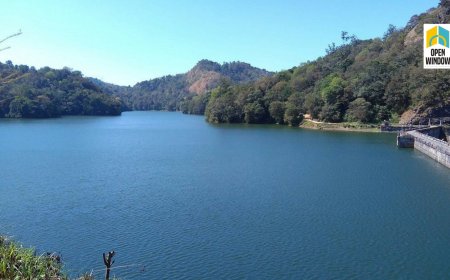 പൊന്മുടി ജലാശയത്തിൽ വള്ളത്തിൽ മീൻ പിടിക്കാൻ പോയ മധ്യവയസ്കനെ കാണാതായി.