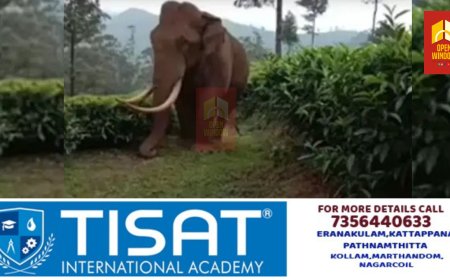 വീണ്ടും പടയപ്പയുടെ ആക്രമണം ; ജനവാസമേഖലയിലിറങ്ങി വീട് തകര്‍ത്ത് പടയപ്പ:- വീട്ടിലുണ്ടായിരുന്നവര്‍ രക്ഷപ്പെട്ടത് തലനാരിഴയ്ക്ക്