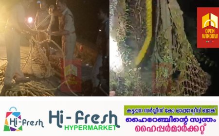 വാളറ വെള്ളച്ചാട്ടത്തിന് സമീപം യുവാവ് കൊക്കയില്‍ വീണു. തൊടുപുഴ സ്വദേശിയായ യുവാവിനെ നേരിയ പരിക്കുകളോടെ രക്ഷപ്പെടുത്തി