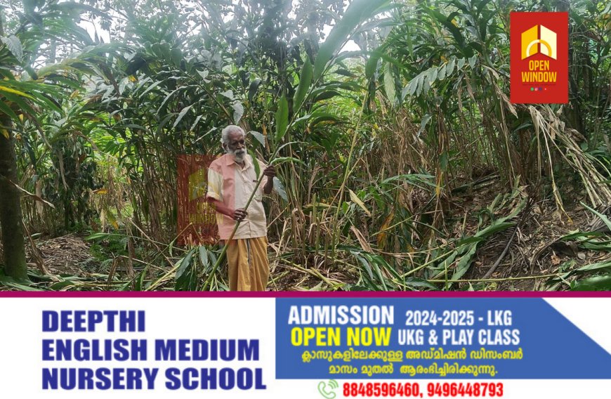 ആദിവാസി കർഷകന്റെ ഒന്നരയേക്കറിലെ കൃഷി ദേഹണ്ഡങ്ങൾ വെട്ടി നശിപ്പിച്ചതായി പരാതി. അയ്യപ്പൻകോവിൽ  മേരികുളം ചെന്നിനായ്ക്കൻകുടി സ്വദേശിയുടെ  1.5 ഏക്കറിലെ കൃഷി ദേഹണ്ഡങ്ങളാണ് നശിപ്പിച്ചത്