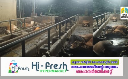 തൊടുപുഴയിൽ കുട്ടി കർഷകരുടെ   പശുക്കൾ കൂട്ടത്തോടെ ചത്തു