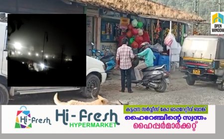 പുതുവര്‍ഷ പുലരിയിലും മൂന്നാറില്‍ കാട്ടാന ആക്രമണം;  പെരിയവാരെ എസ്റ്റേറ്റില്‍ എത്തിയ പടയപ്പ റേഷന്‍കട ആക്രമിച്ചു