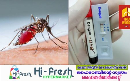 ഡെങ്കിപ്പനി : പൊതുജനങ്ങള്‍ ജാഗ്രത പാലിക്കണമെന്ന് ആരോഗ്യവകുപ്പ്; ഇടുക്കി ജില്ലയില്‍ രണ്ട് ഹോട്ട് സ്‌പോട്ടുകള്‍