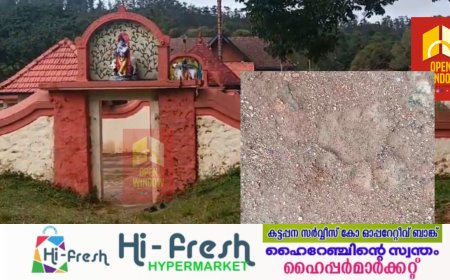 വന്യമൃഗ ഭീതി അകലുന്നില്ല; പീരുമേട് മേജർ ശ്രീകൃഷ്ണസ്വാമി ക്ഷേത്രത്തിൽ പുലിയുടെ കാൽപാടുകൾ കണ്ടെത്തി