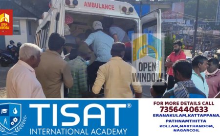 ചിന്നക്കനാലിൽ കാട്ടാന ആക്രമണം; തോട്ടം തൊഴിലാളി സ്ത്രീക്ക് പരുക്കേറ്റു