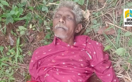 ആനയിറങ്കൽ ജലാശയത്തിൽ വള്ളം മറിഞ്ഞ്  വയോധികൻ മരിച്ചു