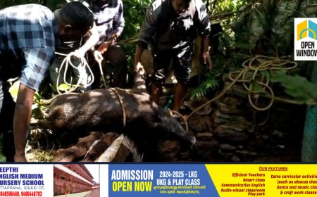 കാഞ്ചിയാർ തൊപ്പിപ്പാളയിൽ കാട്ടുപന്നി കിണറ്റിൽ വീണ്  ചത്തു
