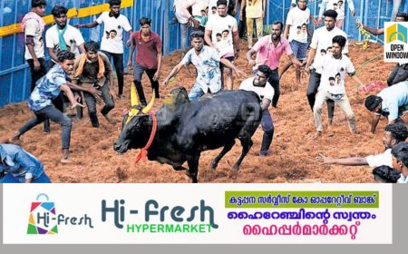 തമിഴ്നാട്ടിലെ ജല്ലിക്കെട്ട് മത്സരത്തിനിടെ രണ്ട് മരണം; 70 പേർക്ക് പരുക്ക്