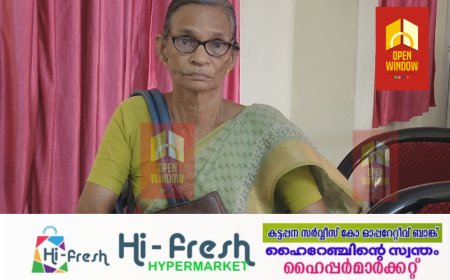 കൈവശമുള്ള വസ്തുവിന് പട്ടയം നിഷേധിച്ചതുമായി ബന്ധപ്പെട്ട് നവകേരള സദസിൽ പരാതി നൽകിയിട്ടും പരിഹാരമാകാത്തതിനെ തുടർന്ന് ഇടുക്കി  തൊടുപുഴയിൽ 73 കാരിയുടെ ഒറ്റയാൾ സമരം