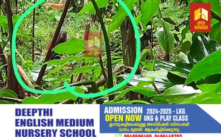 കാട്ടാന ശല്യത്തിന് പിന്നാലെ മാങ്കുളത്ത് ജനവാസ മേഖലയില്‍ കരടി ഭീതി