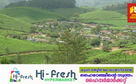 ആക്രമണകാരികളായ വന്യമൃഗങ്ങളെ കൂട്ടിലാക്കണം; പ്രതിഷേധവുമായി മൂന്നാറിലെ തോട്ടം തൊഴിലാളികൾ