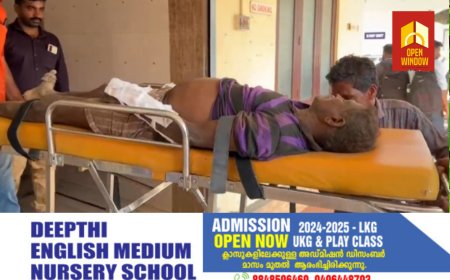 ചിന്നക്കനാൽ ബി എൽ റാവിൽ കാട്ടാന ആക്രമണത്തിൽ പരിക്കേറ്റ കർഷകൻ  അപകടനില തരണം ചെയ്‌തു