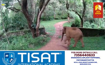 പീരുമേട്ടിലെ വന്യമൃഗശല്യത്തിന് പരിഹാരം; പ്ലാക്കത്തടം മേഖലയിൽ പത്ത് കിലോമീറ്റർ ദൂരം തൂക്ക് വേലി സ്ഥാപിക്കുമെന്ന്  കോട്ടയം ഡി.എഫ്.ഒ