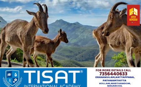 വരയാടുകളുടെ പ്രജനന കാലം; ഫെബ്രുവരി ഒന്ന് മുതൽ രണ്ട് മാസത്തേക്ക് ഇരവികുളം നാഷണൽ പാർക്കിൽ സഞ്ചാരികൾക്ക് പ്രവേശന വിലക്ക്