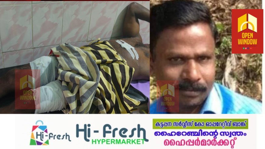 വണ്ടിപ്പെരിയാറിൽ  കൊല്ലപ്പെട്ട ആറുവയസ്സുകാരിയുടെ അച്ഛന് കുത്തേറ്റ സംഭവത്തിൽ പ്രതി പിടിയിൽ. അറസ്റ്റിലായത് അർജുന്റെ ബന്ധുവായ പാൽരാജ്