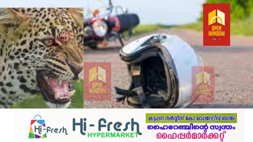 റോഡിലേക്ക് പുലി ചാടി; നിയന്ത്രണം വിട്ടു ബൈക്ക് മറിഞ്ഞ് യുവാവിന് പരുക്ക്