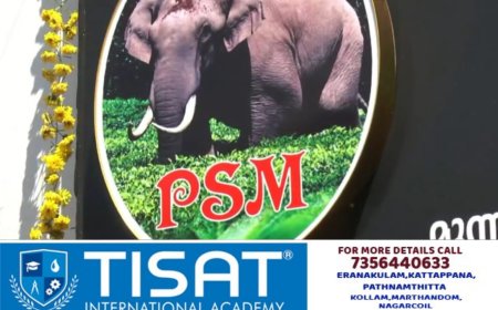 കാട്ടു കൊമ്പൻ പടയപ്പയോടുള്ള ആരാധന മൂലം പുതുതായി തുടങ്ങിയ സ്ഥാപനത്തിന് പടയപ്പയുടെ പേരു നൽകി യുവാക്കൾ