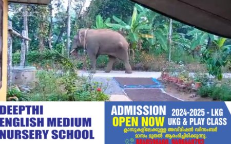 മാനന്തവാടി നഗരത്തിൽ കാട്ടാന;ആന എത്തിയത് കർണാടക വനമേഖലയിൽ നിന്ന്.  ജനങ്ങൾക്ക് ജാഗ്രതാ നിർദ്ദേശം