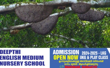 കടന്നൽ ആക്രമണ ഭീഷണിയിൽ രാജകുമാരി എസ്റ്റേറ്റ് മേഖലയിലെ നാൽപ്പതോളം കുടുംബങ്ങൾ