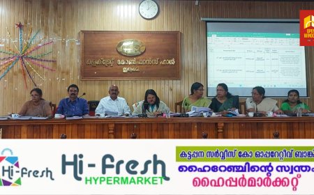 തദ്ദേശസ്വയംഭരണ സ്ഥാപനങ്ങള്‍ നൂതന പദ്ധതികള്‍ ആസൂത്രണം ചെയ്യണം: ജില്ലാ കളക്ടർ