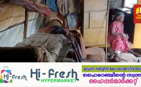 'ദയാവധത്തിന് തയ്യാര്‍' പെൻഷൻ മുടങ്ങിയതിൽ അടിമാലിയില്‍ വൃദ്ധ ദമ്പതികളുടെ പ്രതിഷേധം