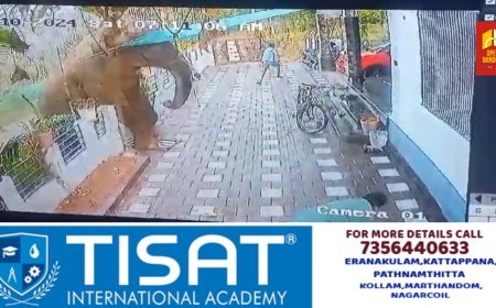 തയ്യാറായി ദൗത്യസംഘം, അതീവ നിർണായക നീക്കം, ഏത് നിമിഷവും കാട്ടാനയെ വെടി വയ്ക്കും; അജീഷിൻ്റെ സംസ്കാരം 3 ന്