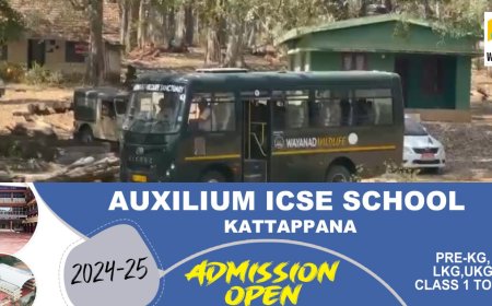 സിഗ്നൽ കിട്ടി, റോഡിൽ നിന്ന് 3.5 കിലോമീറ്റർ ഉള്ളിൽ ആന; ആളെക്കൊല്ലി മോഴയെ പിടിക്കാൻ ദൗത്യസംഘം സജ്ജം