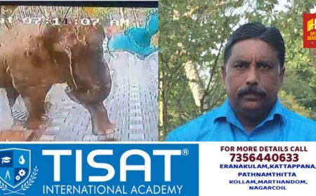 രണ്ടും കല്‍പ്പിച്ച് വനംവകുപ്പ്: ബേലൂര്‍ മഖ്‌നയെ ഇന്ന് പിടികൂടും, നടപടികള്‍ ആരംഭിച്ചു, വിദ്യാഭ്യാസ സ്ഥാപനങ്ങൾക്ക് അവധി