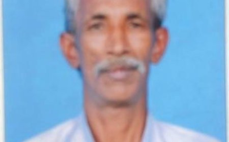 പൂപ്പാറ  കോരംപാറയിൽ തേനീച്ചയുടെ കുത്തേറ്റ് കർഷകൻ മരിച്ചു