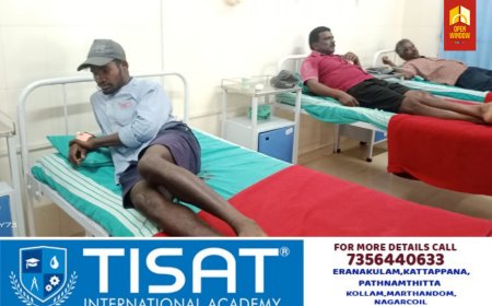 മൂന്നാർ നല്ലതണ്ണിയിൽ കടന്നലുകളുടെ ആക്രമണം; സ്ത്രീ തൊഴിലാളികൾ ഉൾപ്പെടെയുള്ളവർക്ക് കടന്നൽ കുത്തേറ്റു