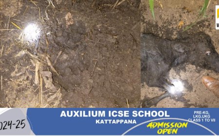 പുല്‍പ്പള്ളിയില്‍ വീണ്ടും കടുവ ആക്രമണം, പശുക്കിടാവിനെ കടുവ പിടിച്ചു