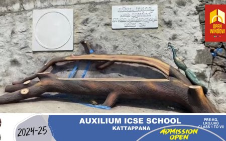 അഞ്ചുരുളിയുടെ അലങ്കാരത്തിന് മാറ്റ് കൂട്ടി മുരിക്കാട്ടുകുടി ഗവണ്മെന്റ് ട്രൈബൽ ഹയർ സെക്കൻഡറി സ്കൂളിലെ നാഷണൽ സർവീസ് സ്‌കീം യൂണിറ്റിന്റെ ഇരിപ്പിട നിർമാണം