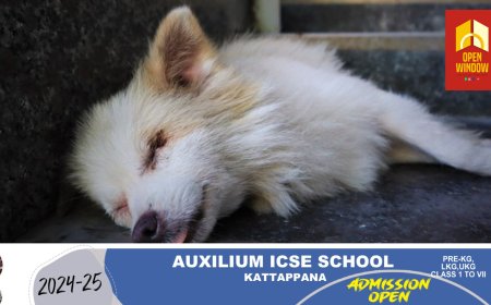 അയൽപക്കത്തെ നായ കുരച്ചത് ഇഷ്ടപ്പെട്ടില്ല; നായയെ പാറയിലടിച്ച് കൊന്ന് ക്രൂരത, നെടുങ്കണ്ടം സന്യാസിയോട സ്വദേശിക്കെതിരെ കേസ്